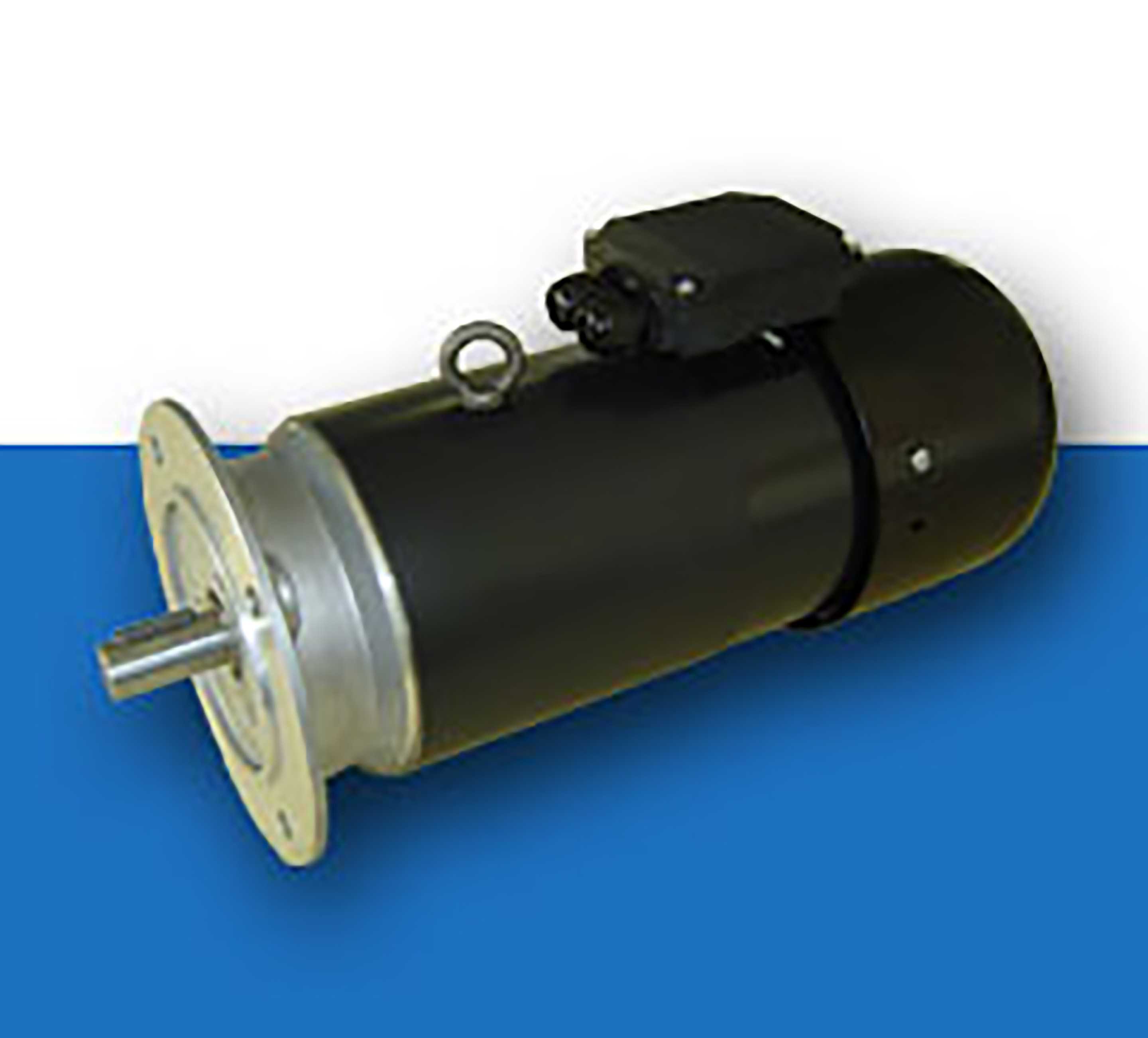Motori cc a magneti permanenti 170V